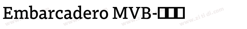 Embarcadero MVB字体转换